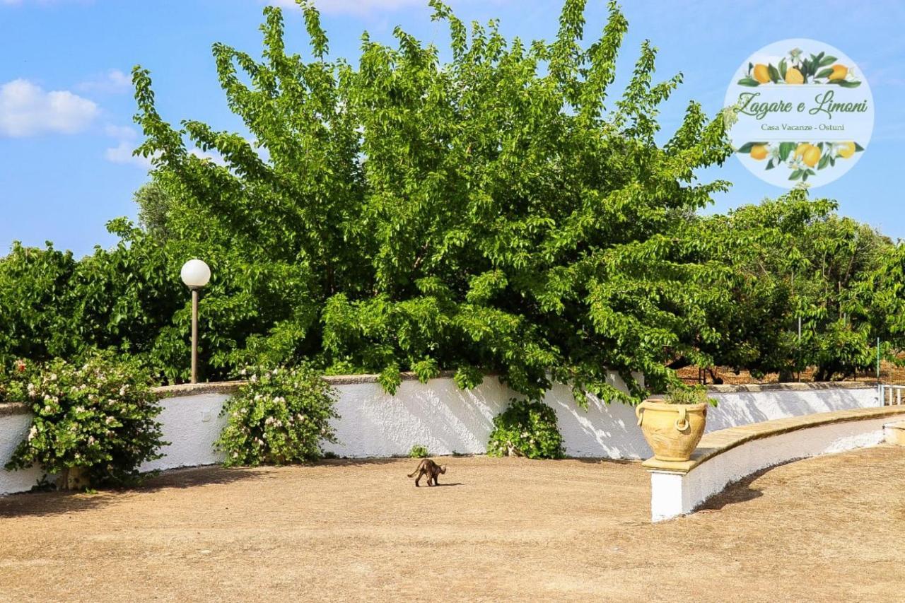 Zagare E Limoni Ostuni Exterior foto